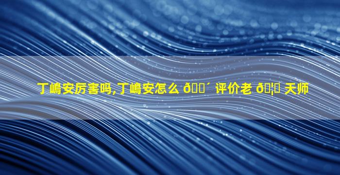 丁嶋安厉害吗,丁嶋安怎么 🐴 评价老 🦁 天师
